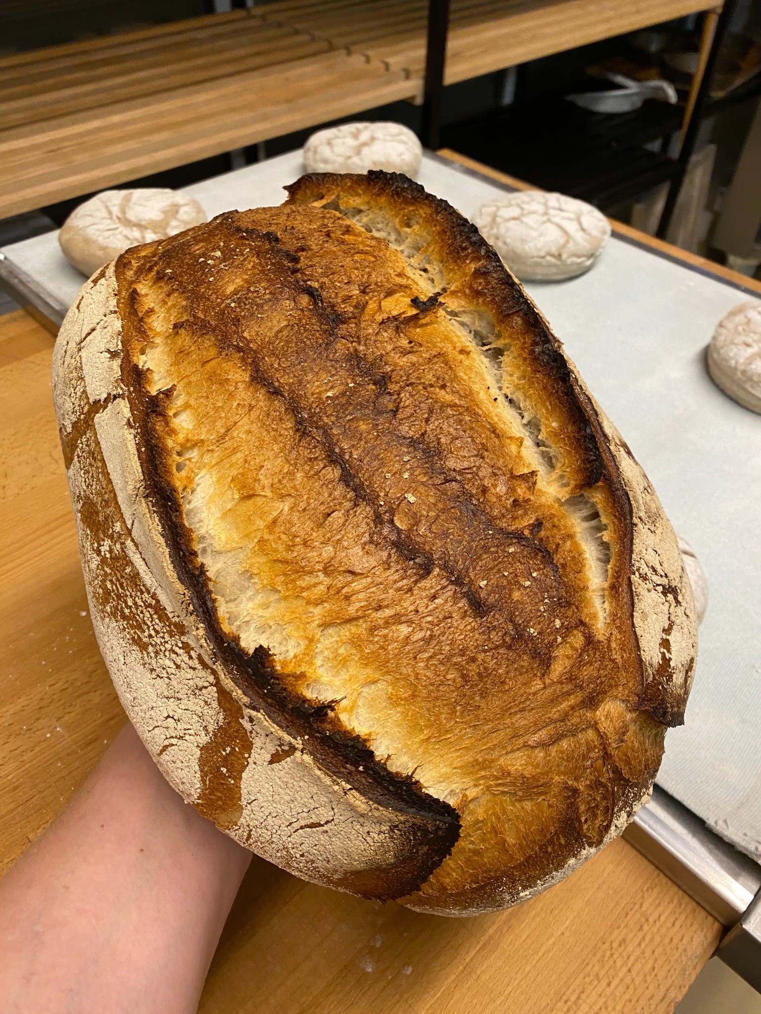 Desembrood met gekraakte korst uit de oven van Bakker x Bakker